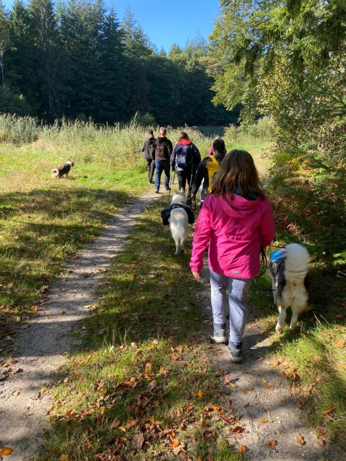 Hundetraining Kreis Segeberg - Karen Frick - Sportliche Aktivitäten Hund-Mensch-Team